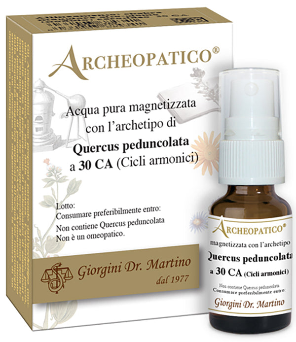 Quercus peduncolata 30 ca