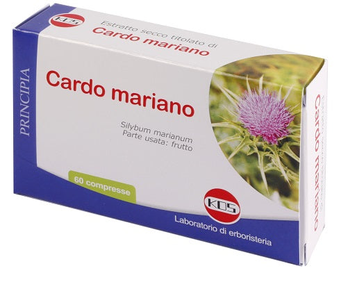 Cardo mariano es 60cpr